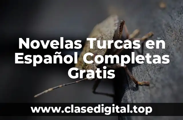 Novelas Turcas en Español Completas Gratis