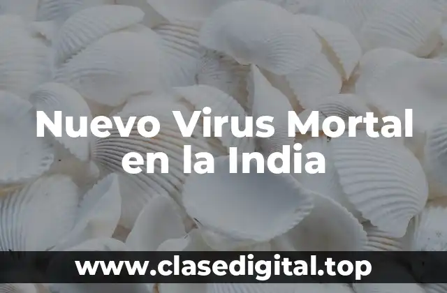 Nuevo Virus Mortal en la India