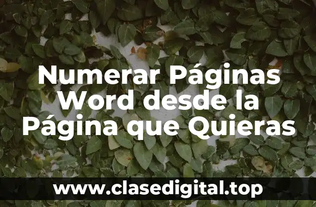 Ventajas de Numerar Páginas Word