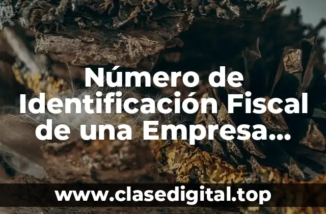 Número de Identificación Fiscal de una Empresa (NIF)