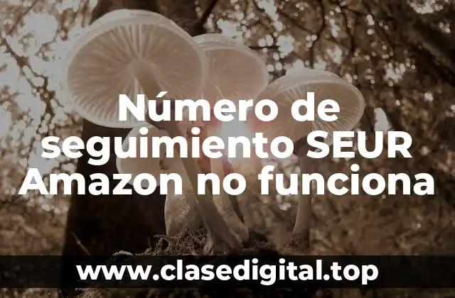 Número de seguimiento SEUR Amazon no funciona