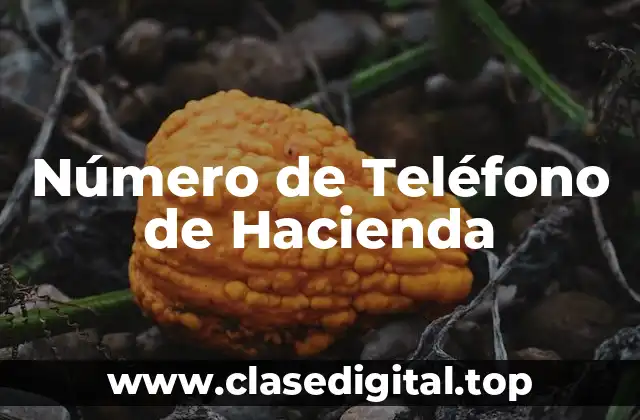 Número de Teléfono de Hacienda