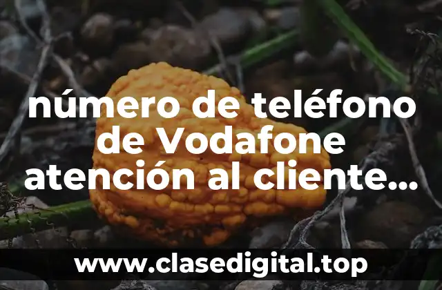 número de teléfono de Vodafone atención al cliente 902 02 32 10