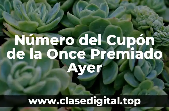 Número del Cupón de la Once Premiado Ayer