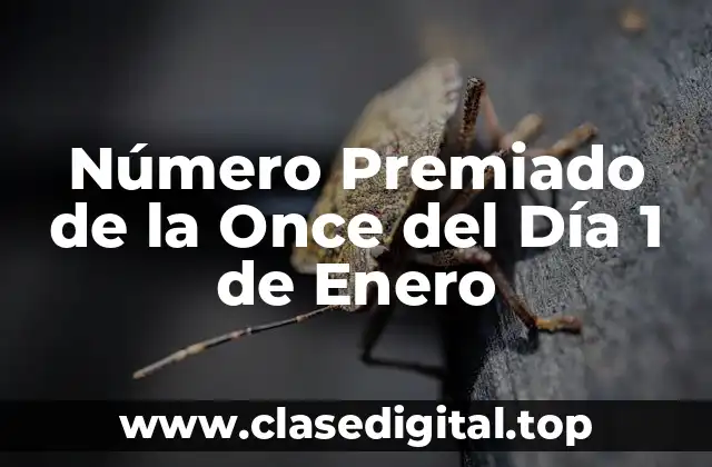Número Premiado de la Once del Día 1 de Enero