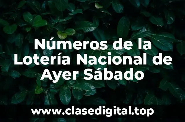 Números de la Lotería Nacional de Ayer Sábado