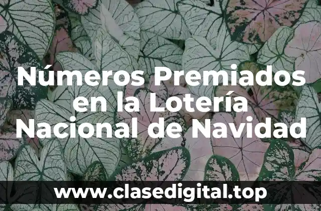 ¿Cuáles son los Números Más Premiados en la Lotería Nacional de Navidad?