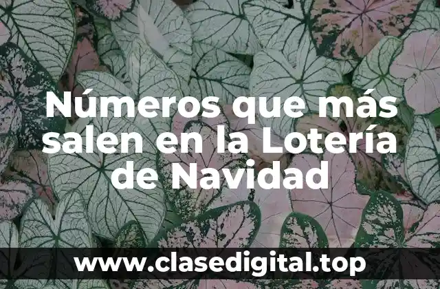 Números que más salen en la Lotería de Navidad