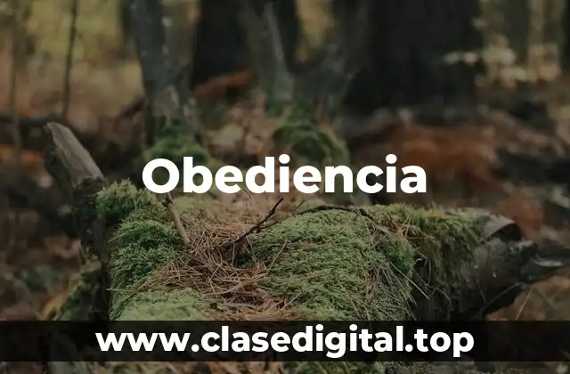 Obediencia