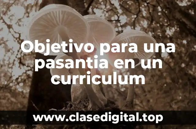 Objetivo para una pasantia en un curriculum