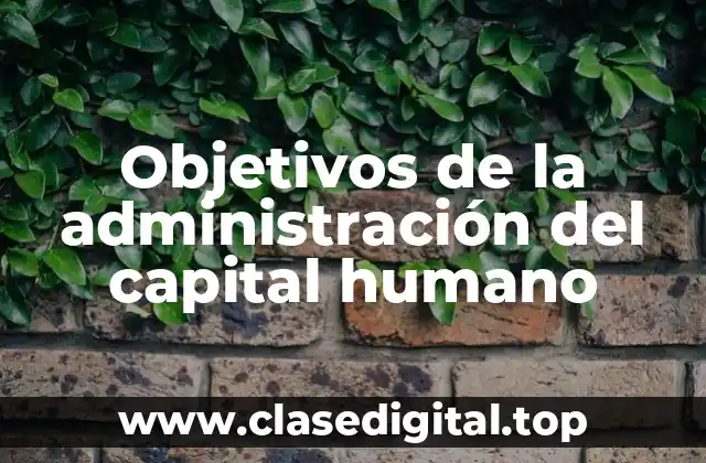 Ejemplos de objetivos de la administración del capital humano