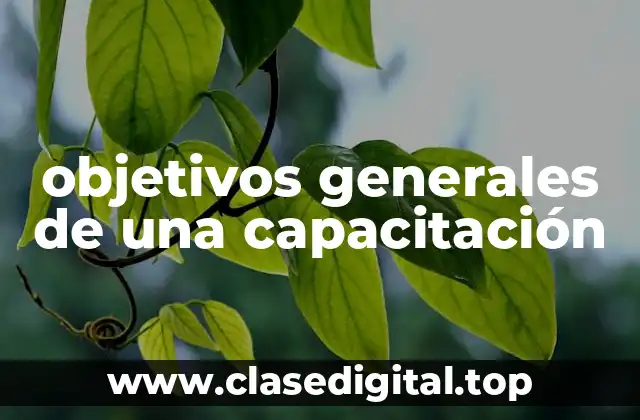 objetivos generales de una capacitación