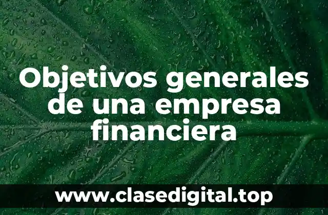 Objetivos generales de una empresa financiera