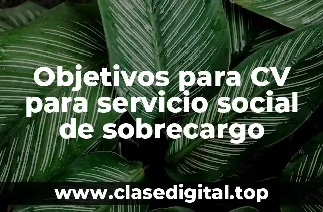 Objetivos para CV para servicio social de sobrecargo