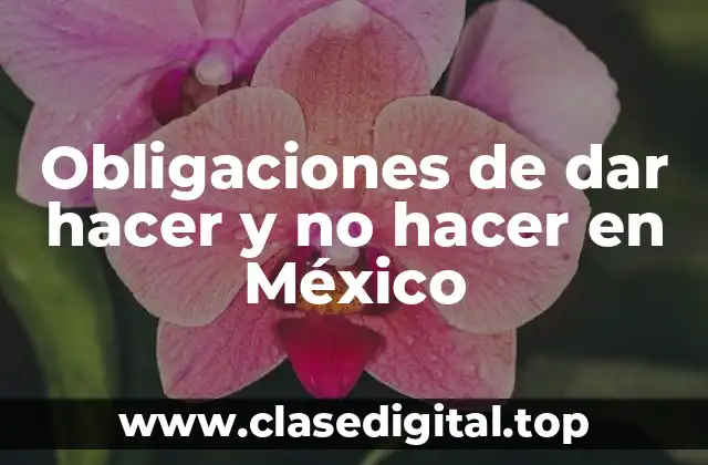 Obligaciones de dar hacer y no hacer en México