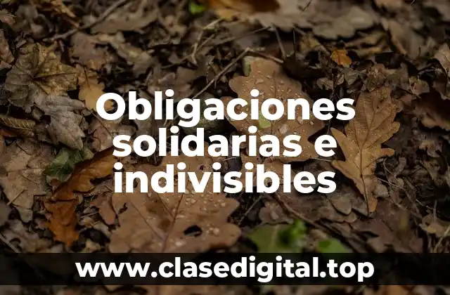 Obligaciones solidarias e indivisibles