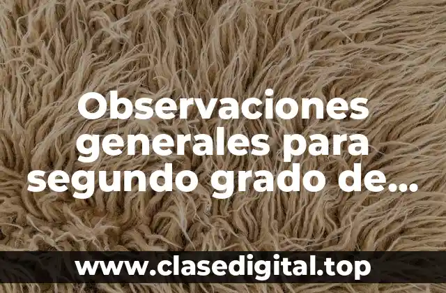 Ejemplos de observaciones generales