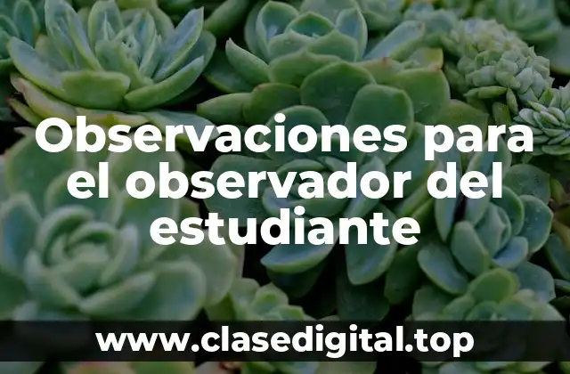 Ejemplos de observaciones para el observador del estudiante
