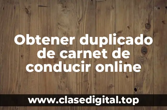 Obtener duplicado de carnet de conducir online