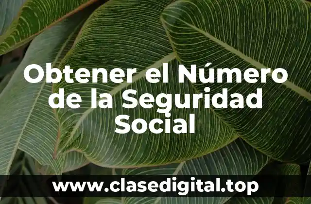 Obtener el Número de la Seguridad Social