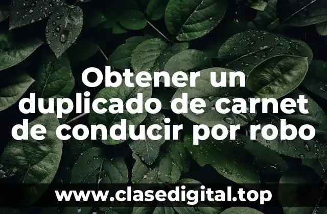 Obtener un duplicado de carnet de conducir por robo