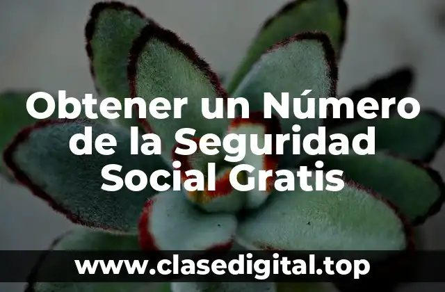 Obtener un Número de la Seguridad Social Gratis