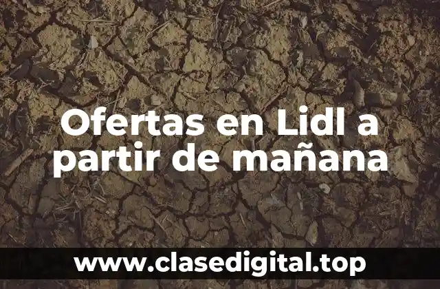 Ofertas en Lidl a partir de mañana