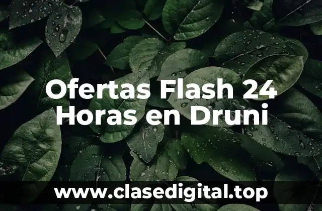 Ofertas Flash 24 Horas en Druni