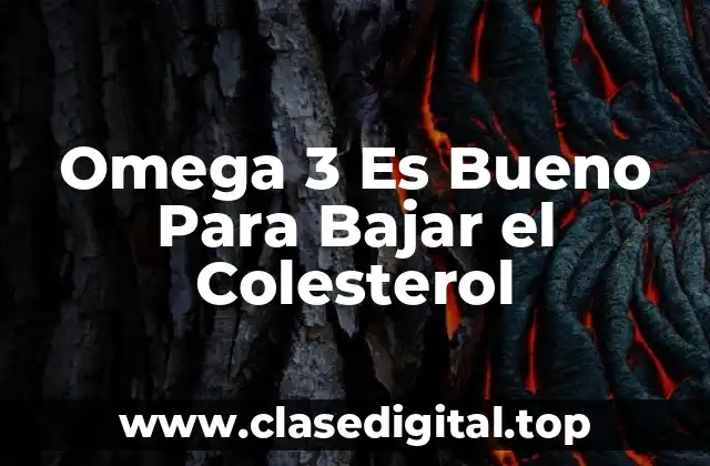 Omega 3 Es Bueno Para Bajar el Colesterol
