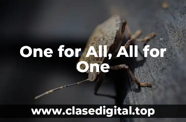 One for All, All for One