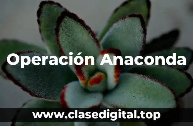 Antecedentes de la Operación Anaconda