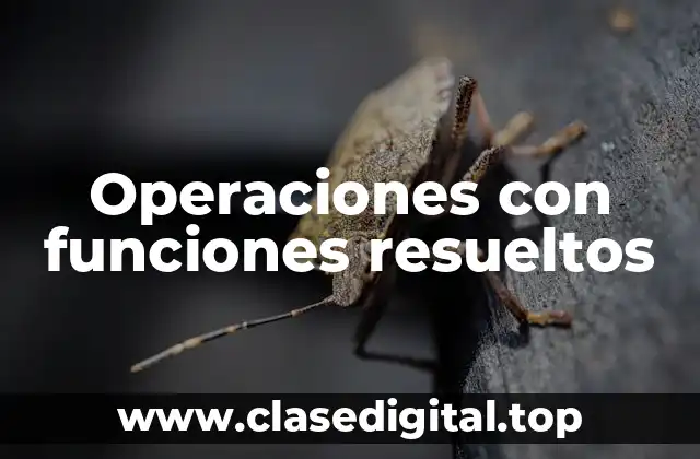 Ejemplos de operaciones con funciones resueltos