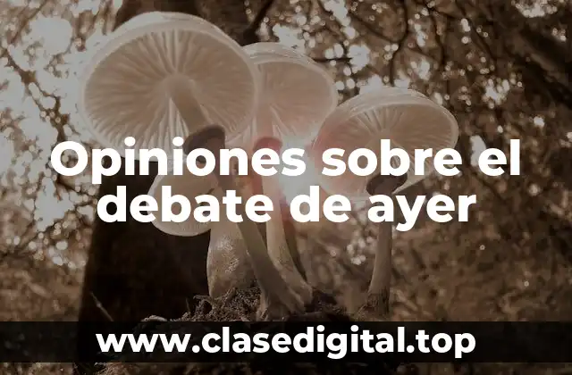 ¿Qué se dijo sobre la economía en el debate de ayer?