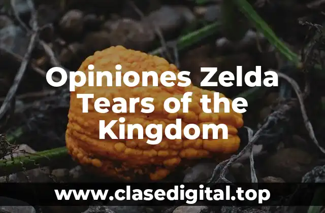 Opiniones Zelda Tears of the Kingdom