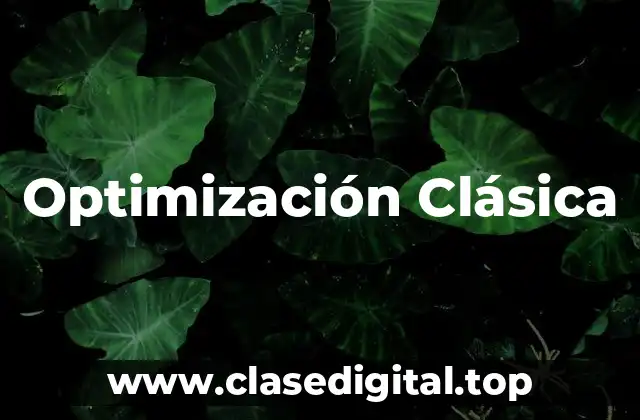 Optimización Clásica