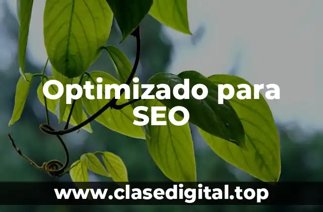 Optimizado para SEO