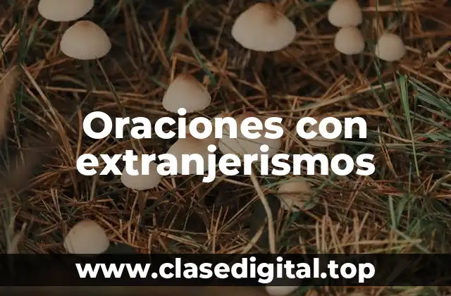 Oraciones con extranjerismos