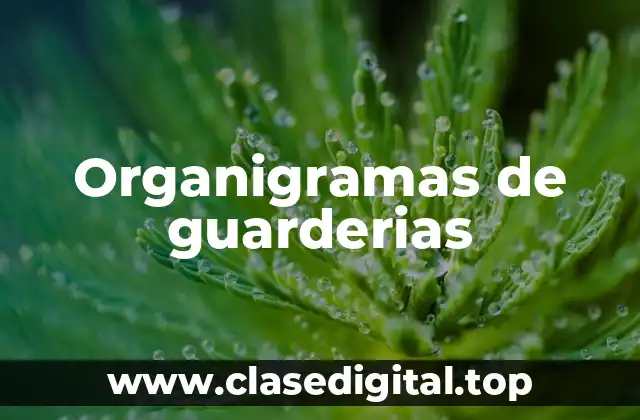 Ejemplos de organigramas de guarderías