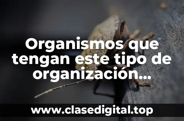 Organismos que tengan este tipo de organización branquial