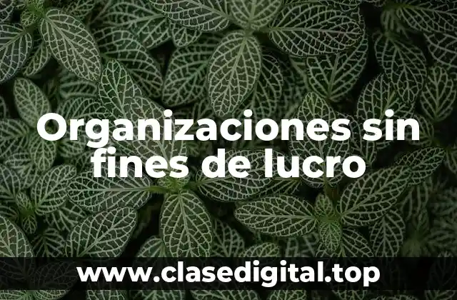 Organizaciones sin fines de lucro