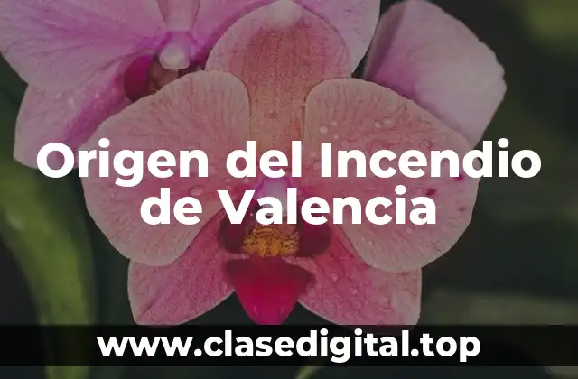 Origen del Incendio de Valencia