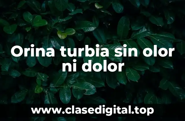 Orina turbia sin olor ni dolor