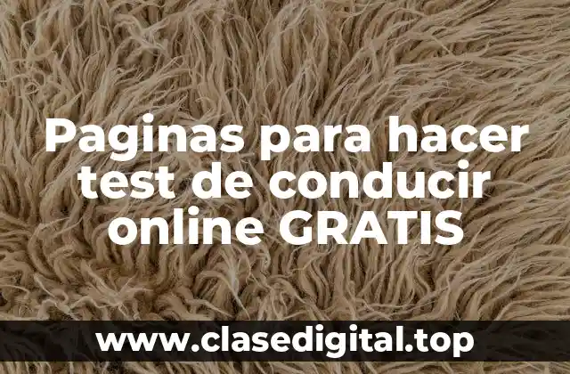 Paginas para hacer test de conducir online GRATIS