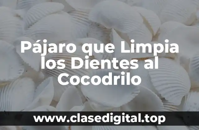 Pájaro que Limpia los Dientes al Cocodrilo