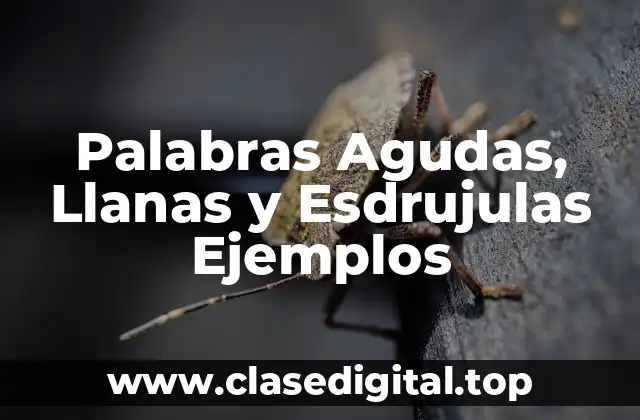 Palabras Agudas, Llanas y Esdrujulas Ejemplos