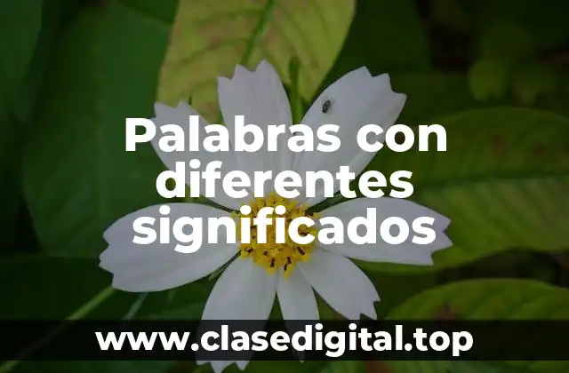 Palabras con diferentes significados