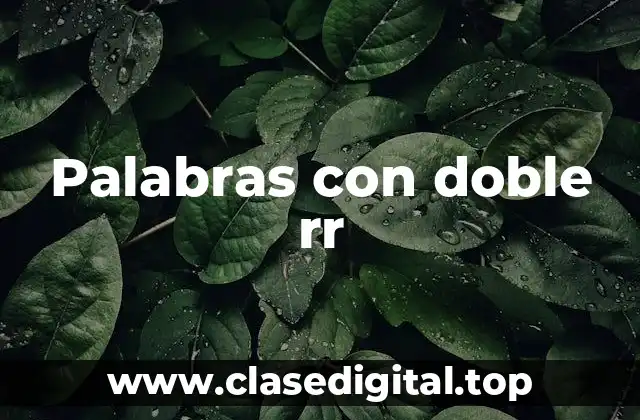 Palabras con doble rr
