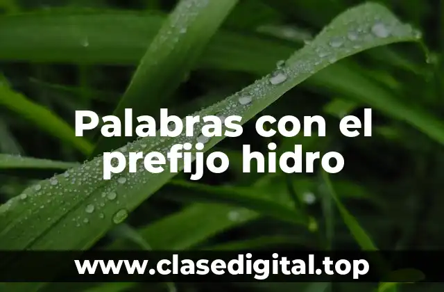 Palabras con el prefijo hidro