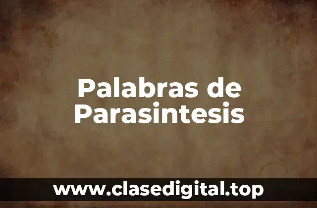 Palabras de Parasintesis