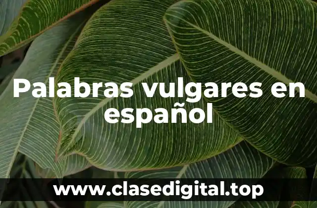 Palabras vulgares en español